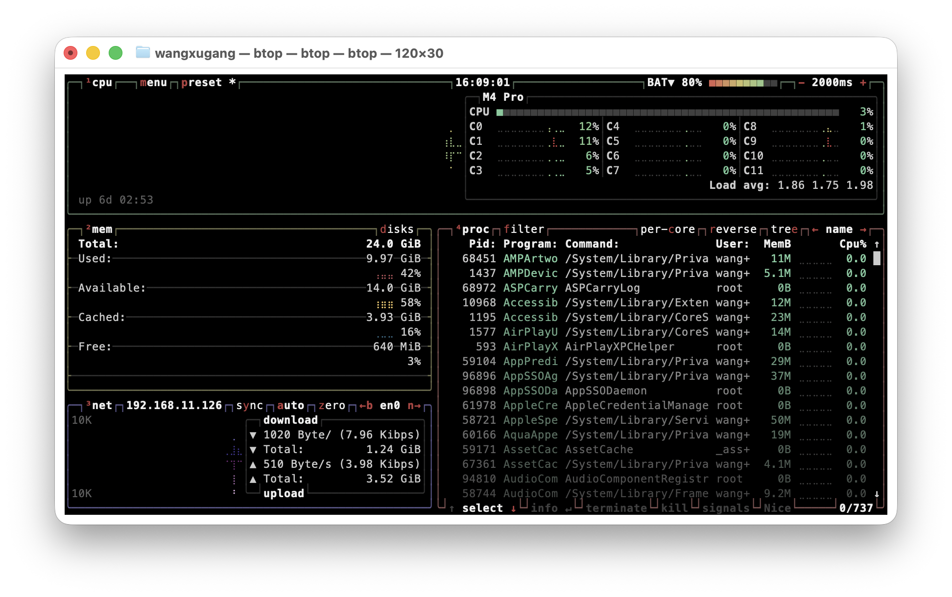 btop demo